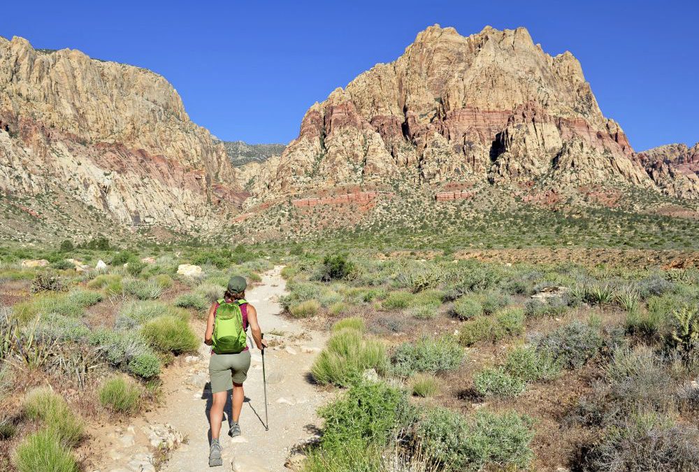 10 Most Picturesque Hiking Trails in Las Vegas