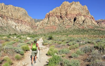 10 Most Picturesque Hiking Trails in Las Vegas
